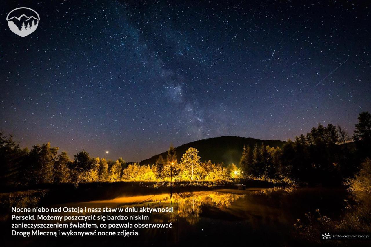 Agroturystyka Leszczynowe Wzgorze Gluszyca Exteriér fotografie